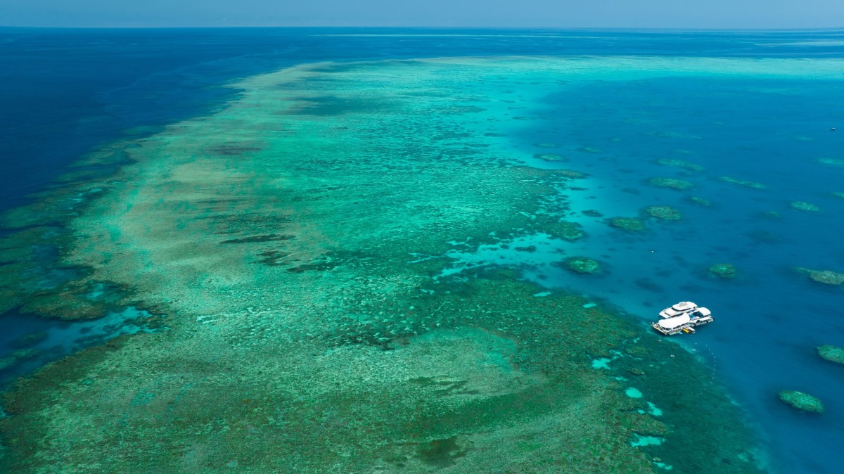 グレートバリアリーフ｜Great Barrier Reef | ケアンズの