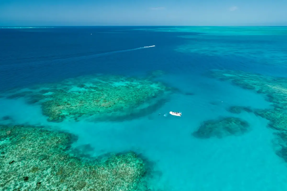 ポンツーン｜pontoon | ケアンズのアクティビティを知りたい | ケアンズ x ヴァージン・オーストラリア航空 | CAIRNS x  Virgin Australia | GLOBAL JOURNEY