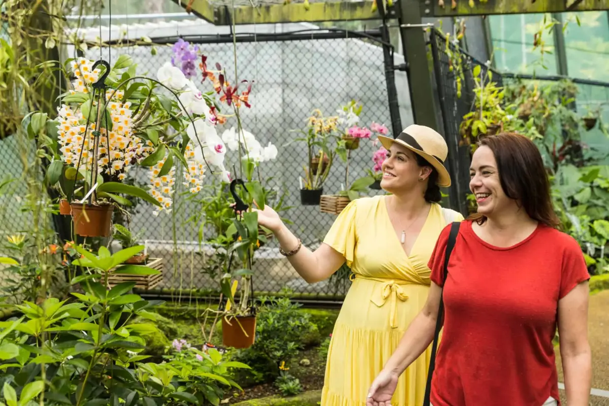 ケアンズボタニックガーデンの植物を楽しむ女性