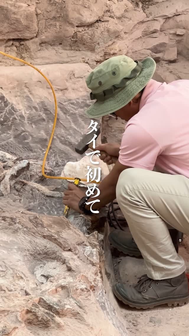 今回ご紹介するのは、タイ東北部・イサーン地方にある「恐竜と出 ...