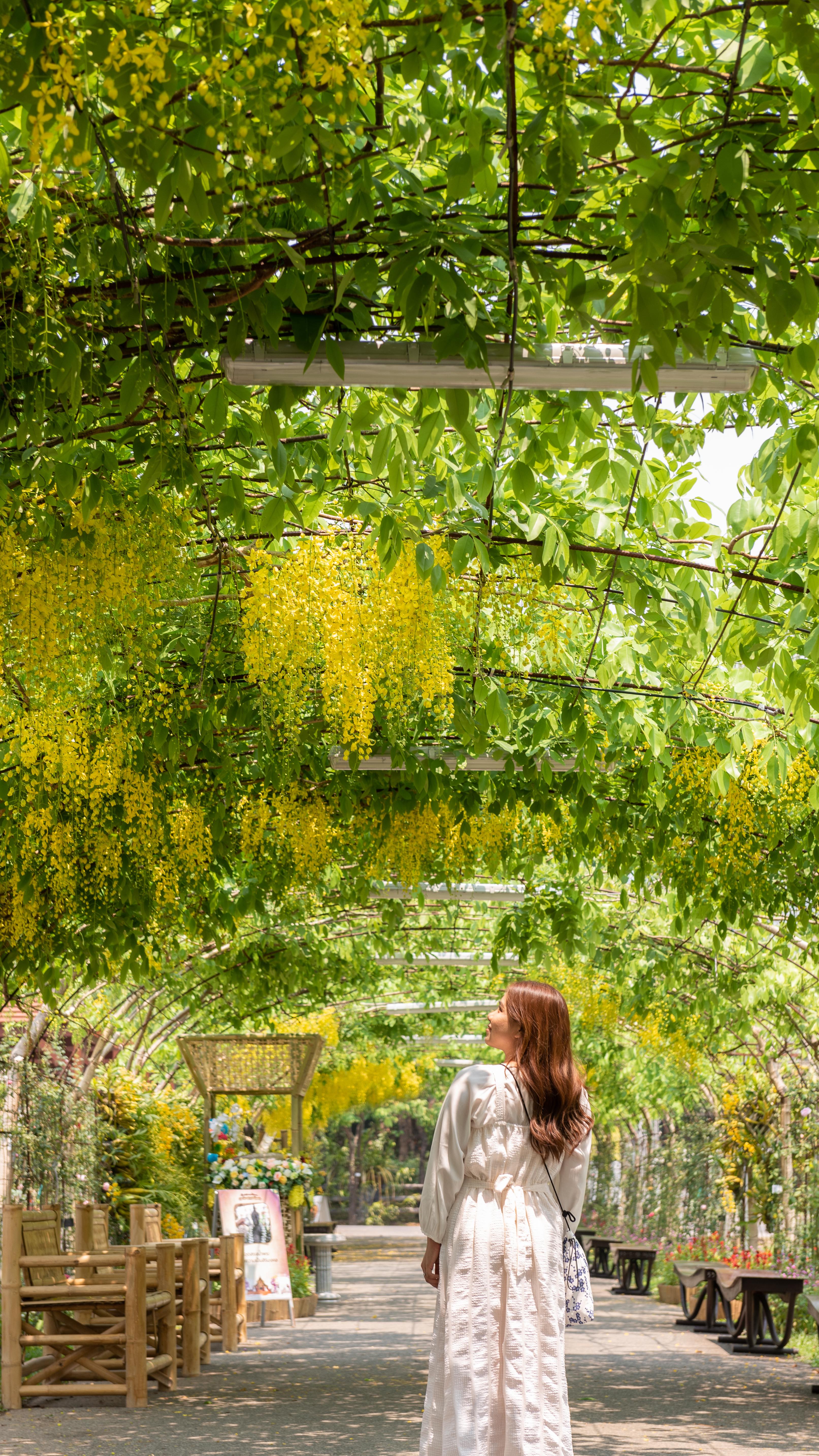 .⋰ もっと知りタイ！ タイの文化ミニガイドˊ˗ ⋱今回は、 ...