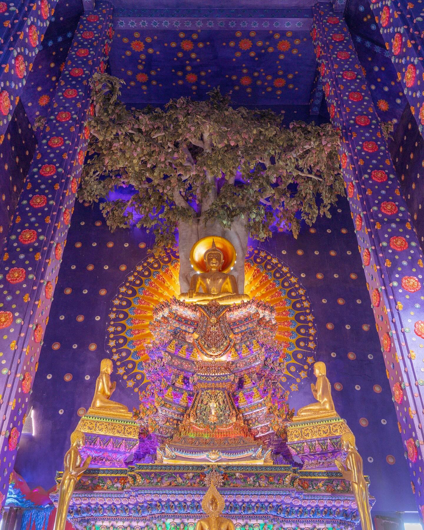 .行きタイ！見てみタイ！と思った方はコメント欄に【】で教えて ...