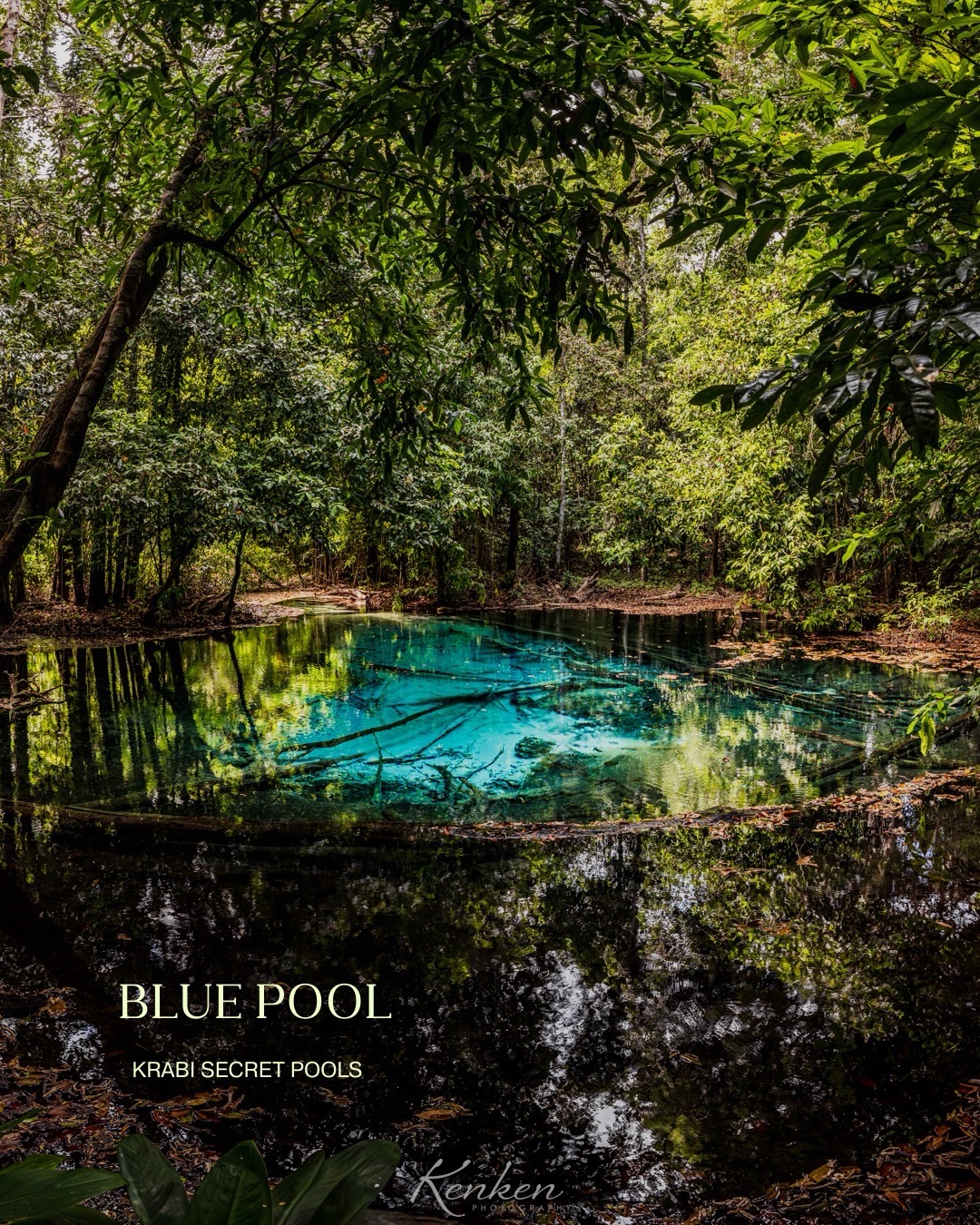 森の奥に現れる、奇跡の色タイ・クラビにある「エメラルドプール ...