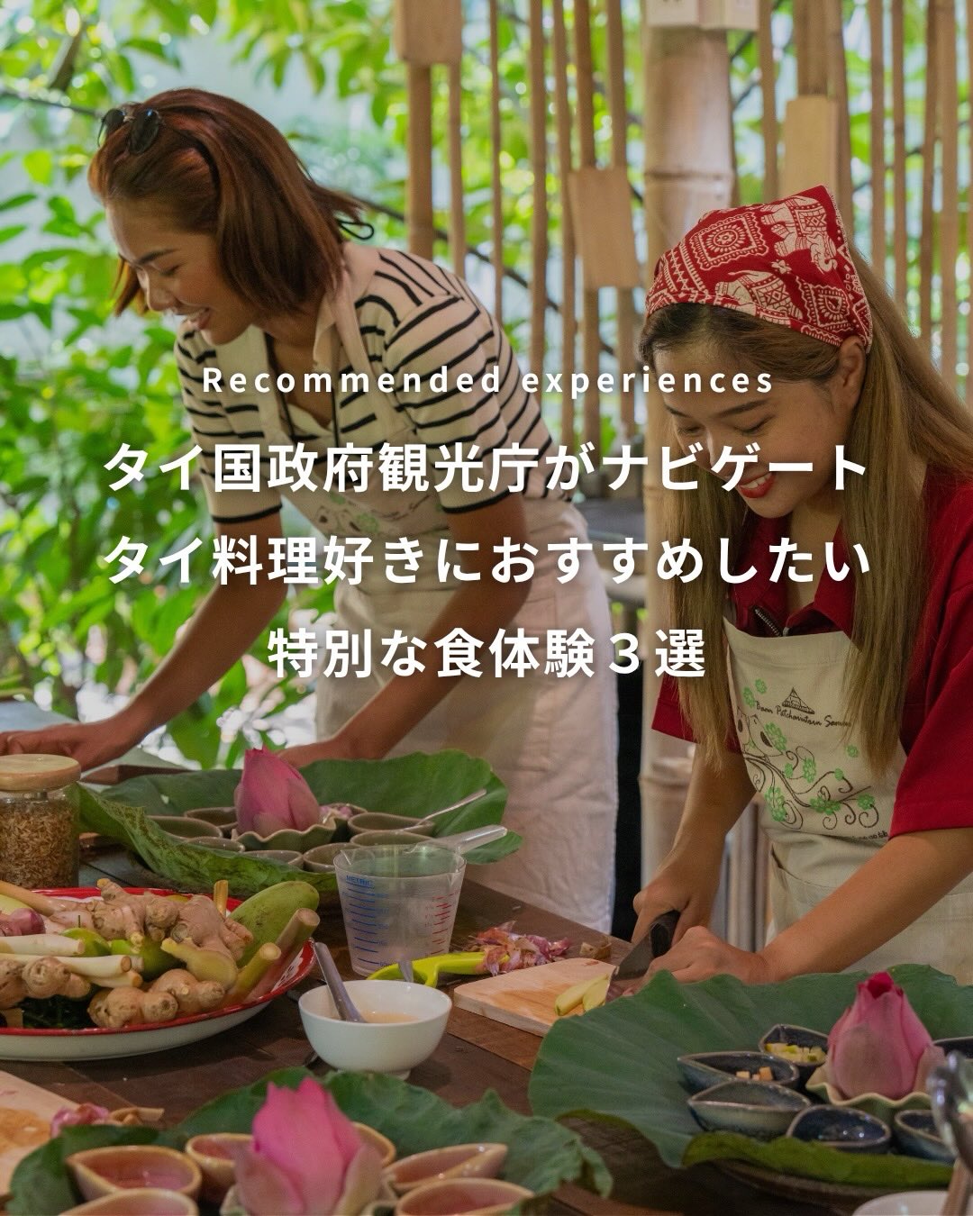 .⳹タイ国政府観光庁がナビゲート⳼»» タイ料理好きにおすす ...