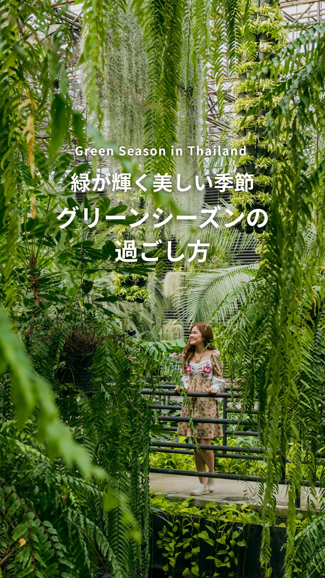 .⋰ 緑が輝く美しい季節 グリーンシーズンの過ごし方ˊ˗ ⋱ ...