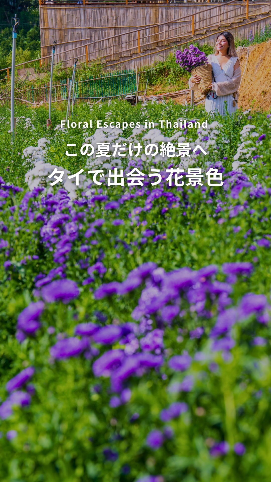 .⋰ この夏だけの絶景へ タイで出会う花景色ˊ˗ ⋱大自然が ...