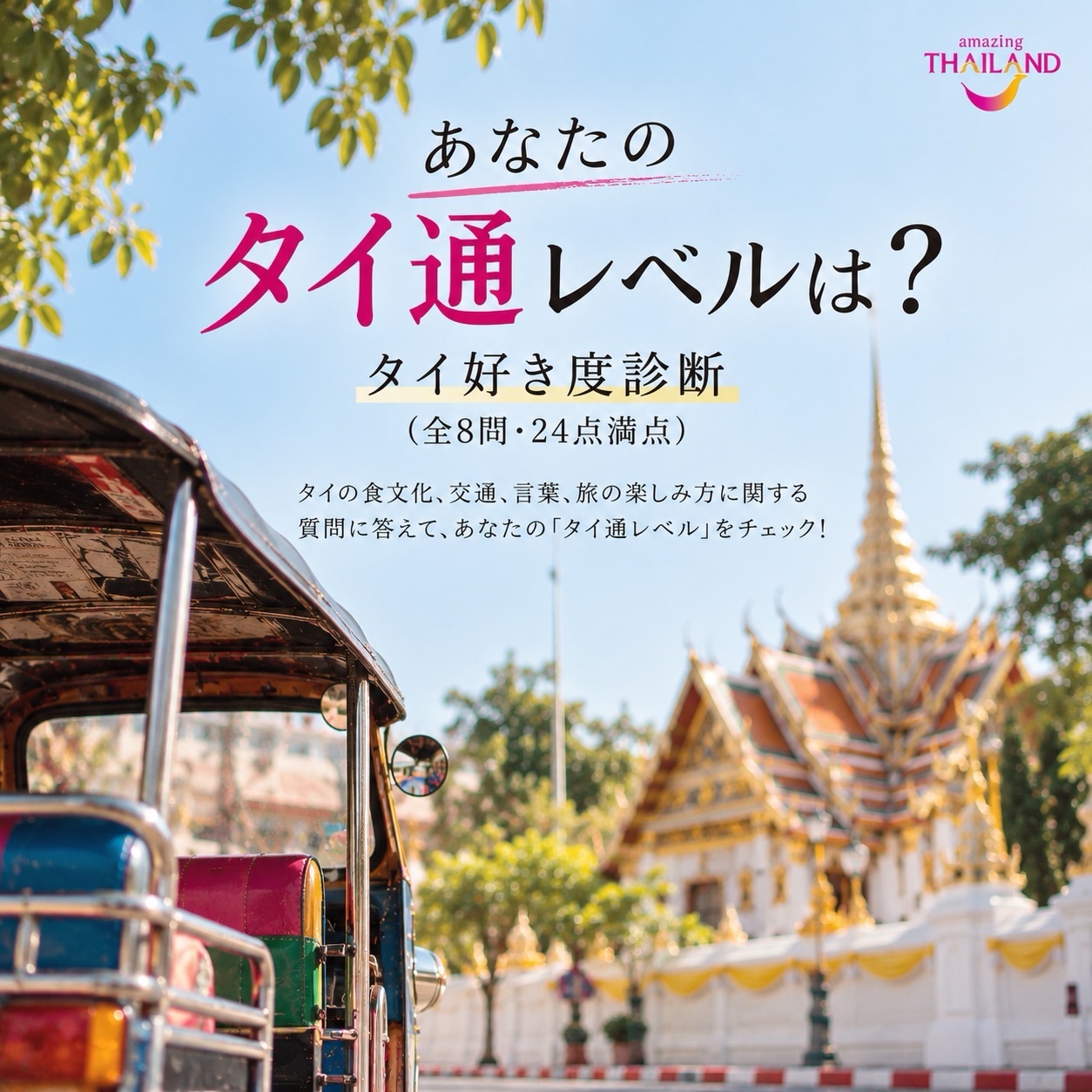 あなたの「タイ通レベル」は？タイ料理やタイ語、交通手段、旅の ...