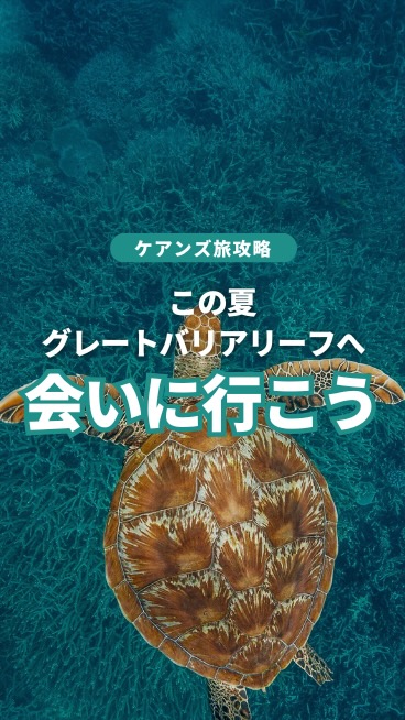 ✨夏休みの特別な思い出に✨今年の夏休みは、美しいウミガメに会 ...
