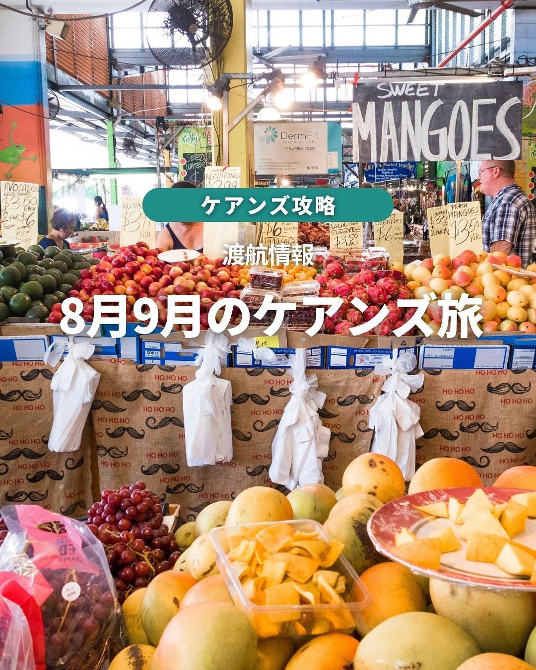 8月・9月のケアンズはトレッキングや散策にぴったりの季節日本 ...