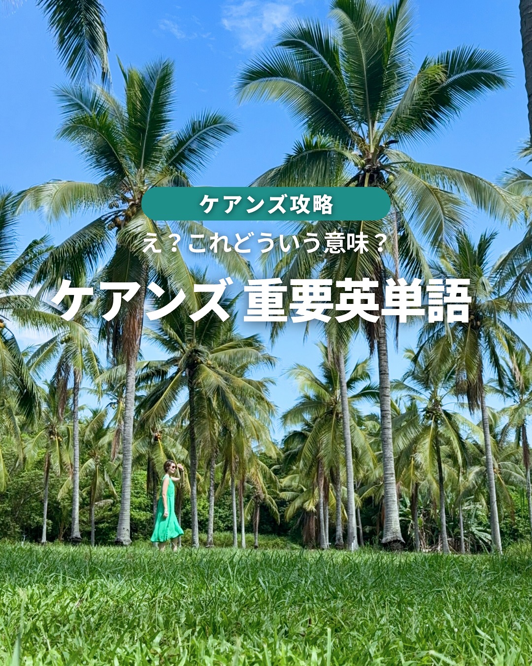 ケアンズ旅行で知っておきたい英語表現✈️グレートバリアリーフ ...