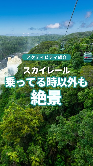 ケアンズの熱帯雨林を空中散歩で楽しめるSkyrail実は、ゴ ...