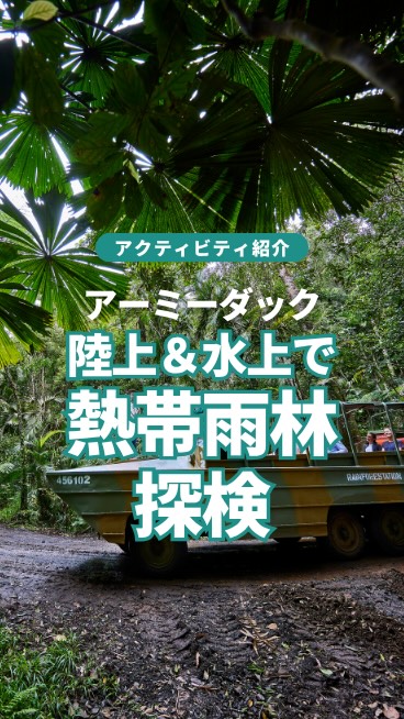 レインフォレステーションのアーミーダック 水陸両用の特別な車 ...