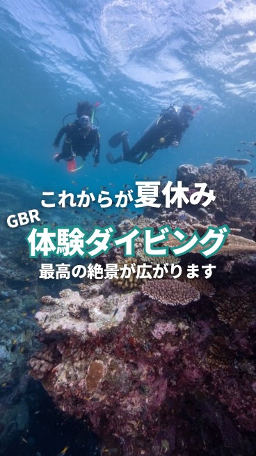 夏休み本番ですが、今年はずらし旅？ケアンズは常夏なのでいつで ...