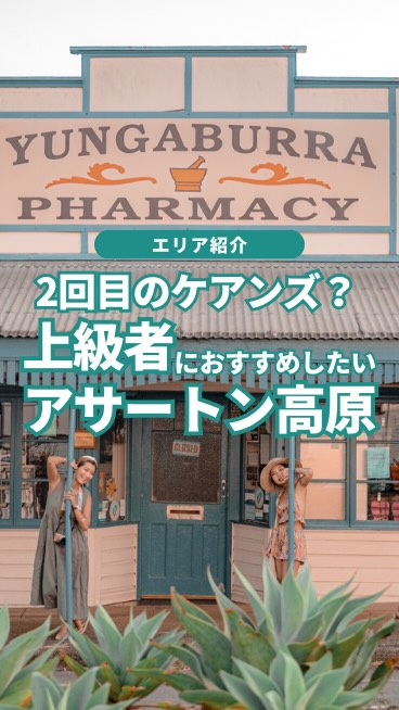 ✨ アサートン高原でセルフドライブの旅へ ✨ケアンズから車で ...