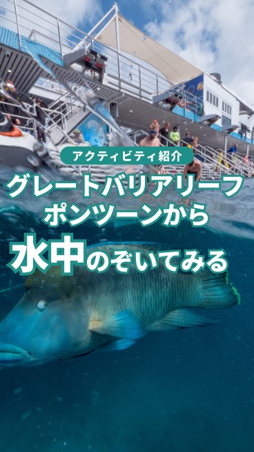 グレートバリアリーフの美しさをポンツーンからポンツーンは海上 ...