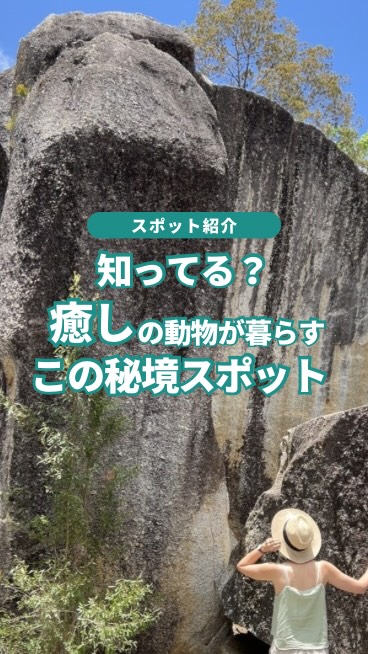 ケアンズの隠れた癒しスポット、グラネットゴージ✨ここには野生 ...