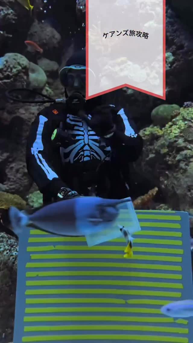 ハッピーハロウィーン中の人が個人的にも楽しみにしているケアン ...