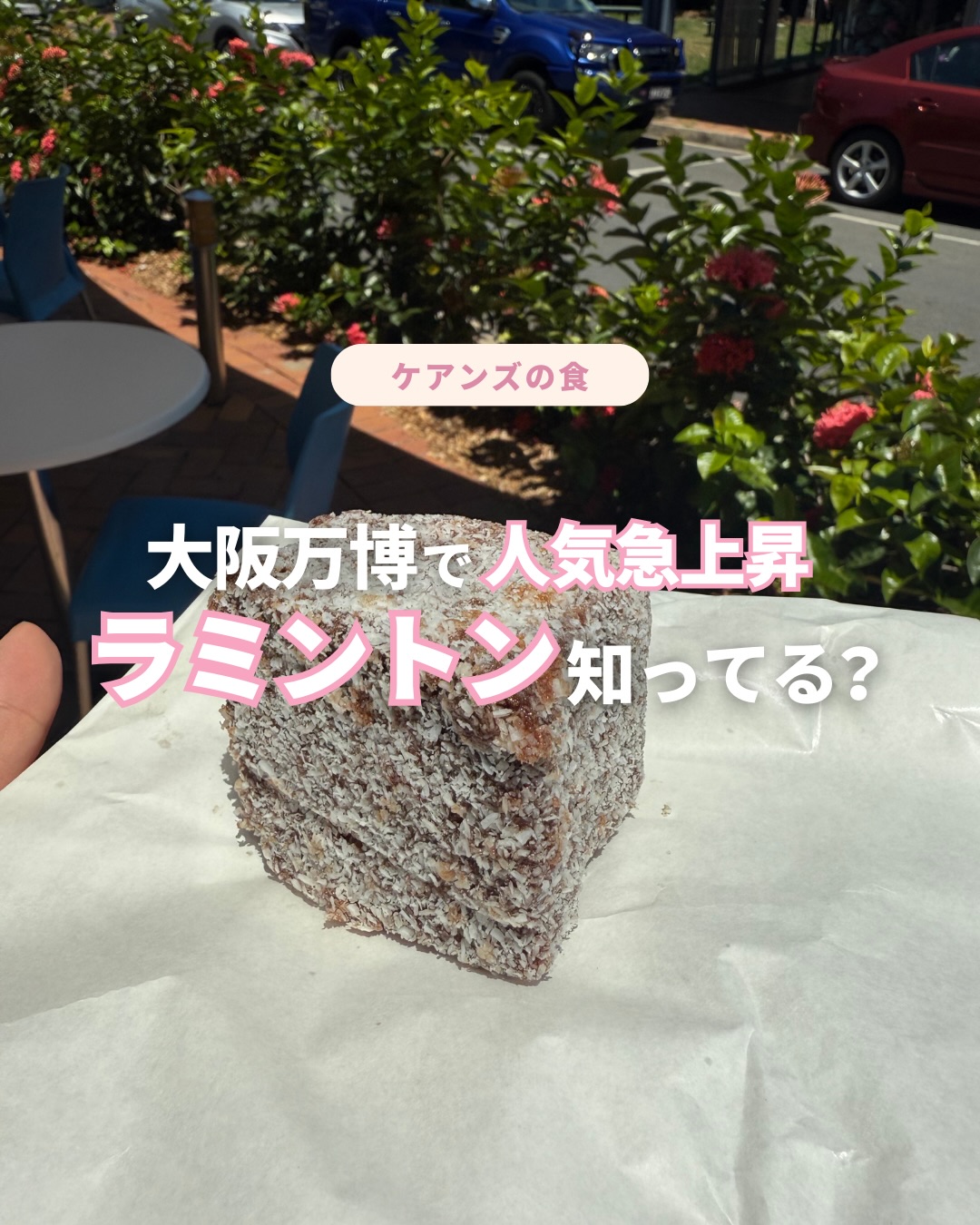  オーストラリアの国民的スイーツ「ラミントン」 ケアンズに来 ...