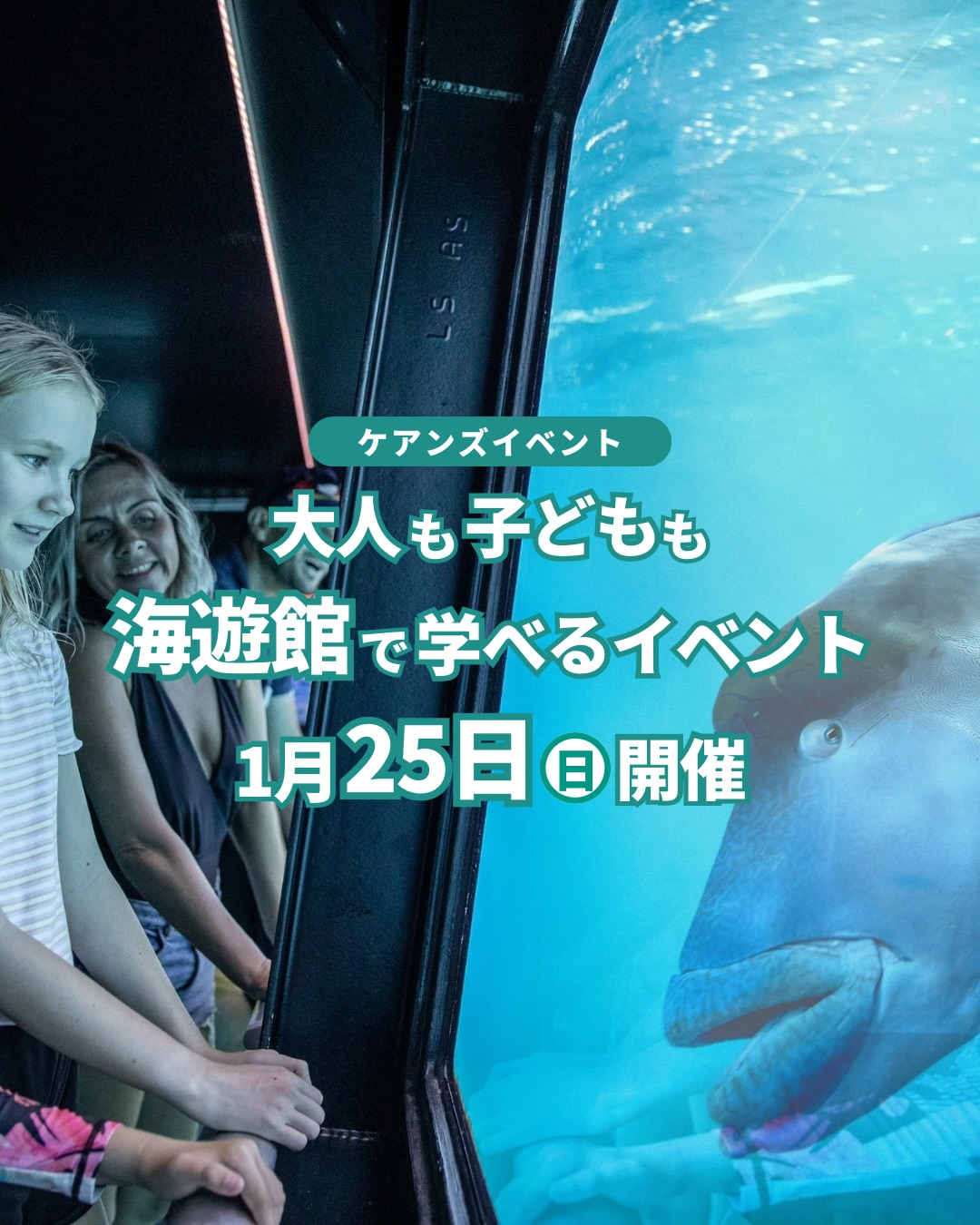 大阪でケアンズを体感できるイベント開催！グレートバリアリーフ ...