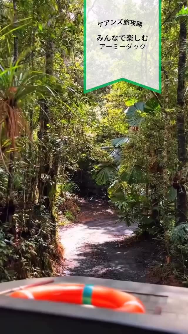 熱帯雨林を水陸両用車で冒険世界遺産の森を”アーミーダック”で ...