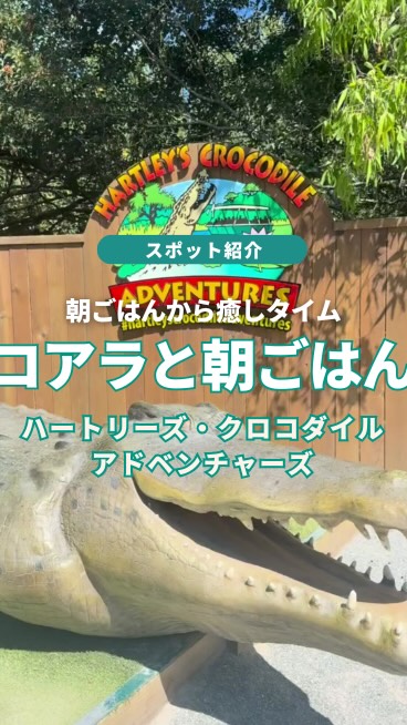 名前だけ聞いたらワニしかいなそう？？ハートリーズ・クロコダイ ...