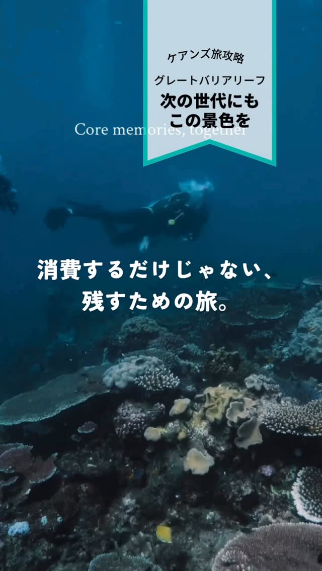3月5日は、サンゴの日ケアンズのリーフツアーには、チケット代 ...