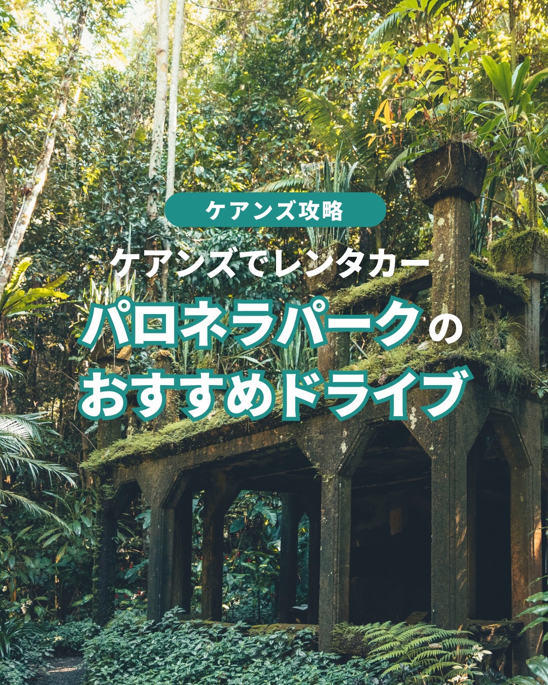 ケアンズに来たら、街の外へも足をのばしてみてほしい。レンタカ ...