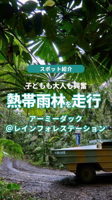 子どもの「なんか怖い！でも楽しい！」が止まらない体験ケアンズ ...