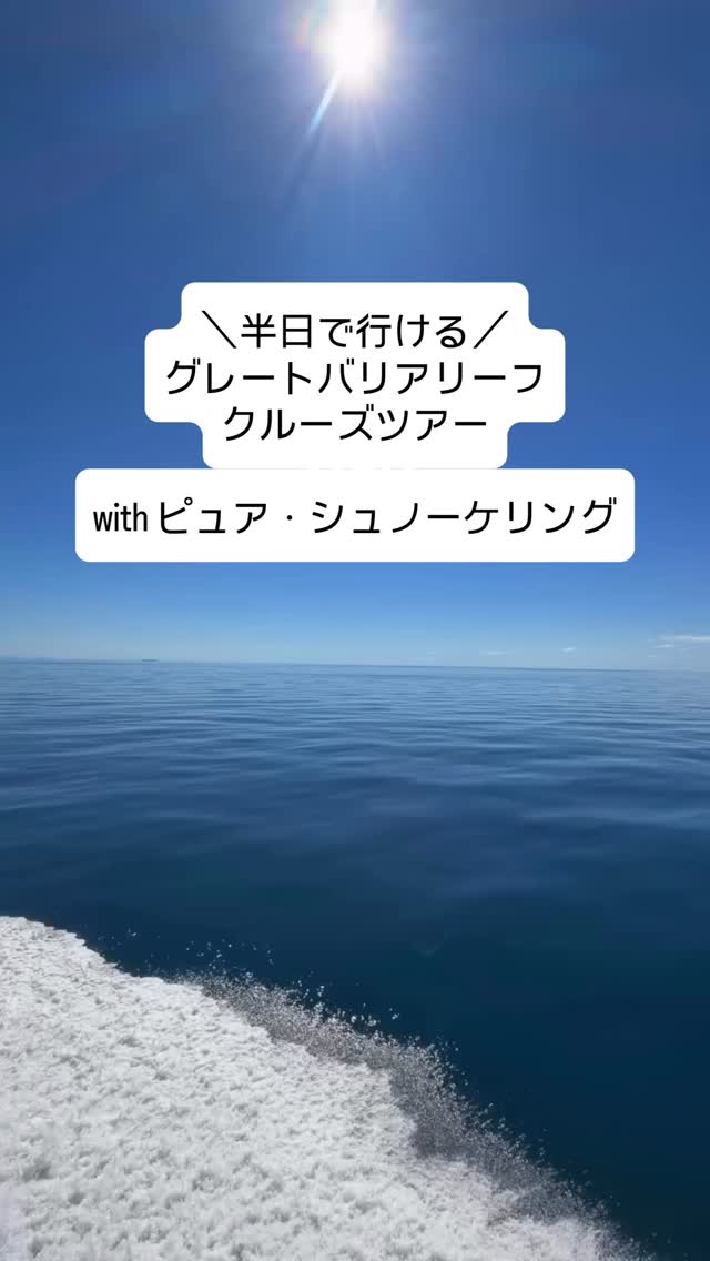 やりたいこといっぱい！欲張りなあなたに朗報ケアンズから日帰り ...