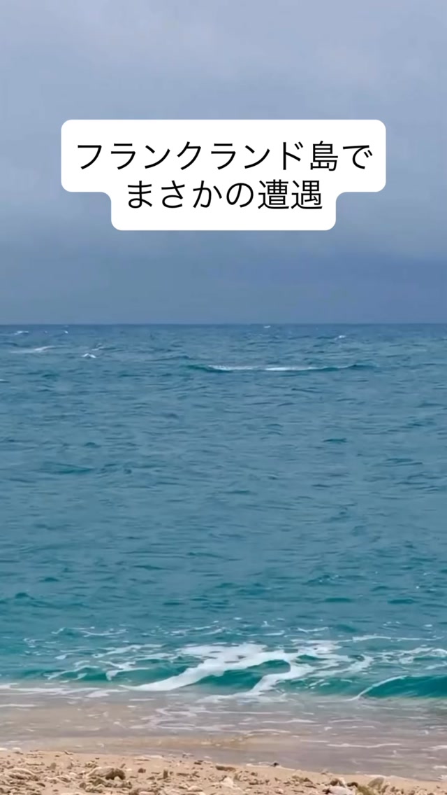 島の景色に、クジラがついてきたフランクランド島のビーチから海 ...