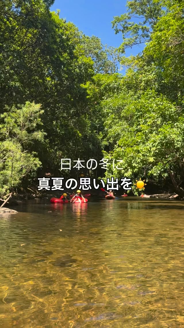 日本はコートの季節。ケアンズは、川遊びの季節。「本物の熱帯雨 ...