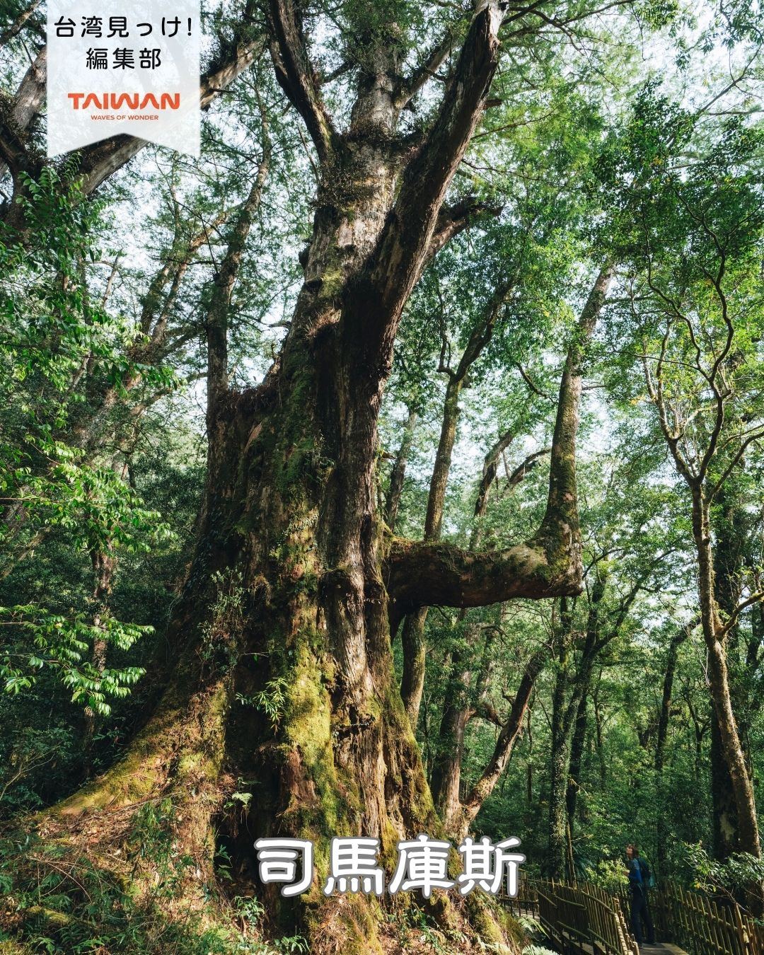 大家好（皆さんこんにちは）～編集部です！新竹県尖石郷玉峰村の ...