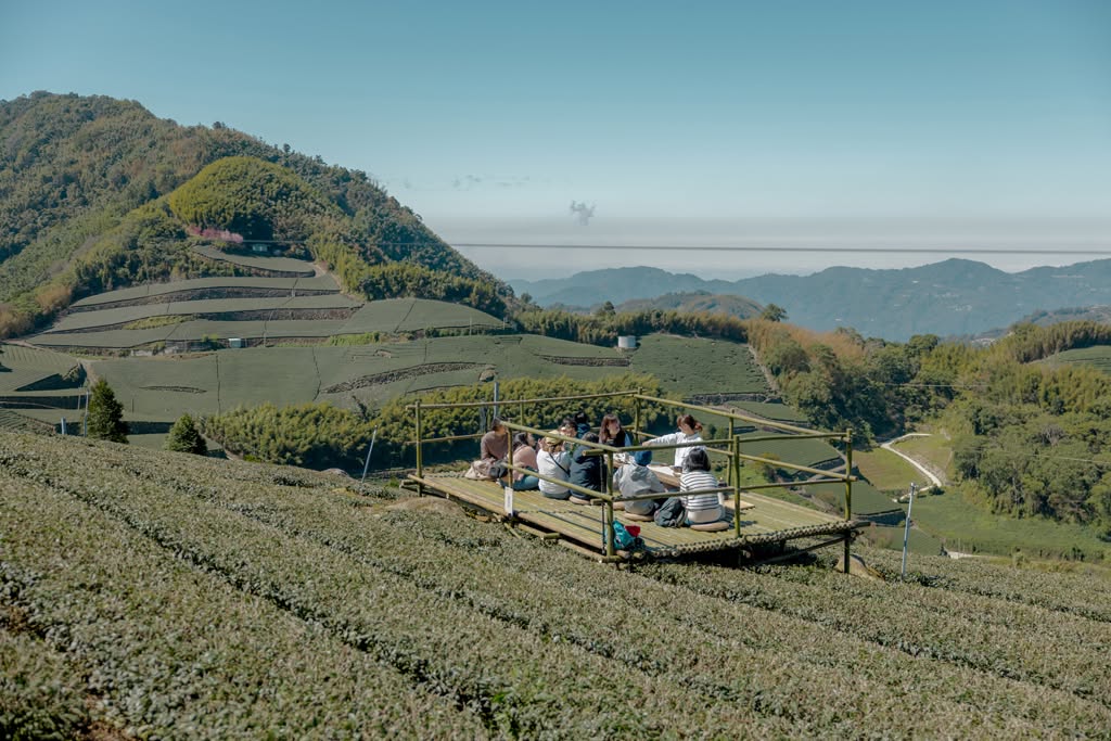 ❄️ 阿里山の冬、霜の香りをまとった一杯を。―― 四季茶旅・ ...