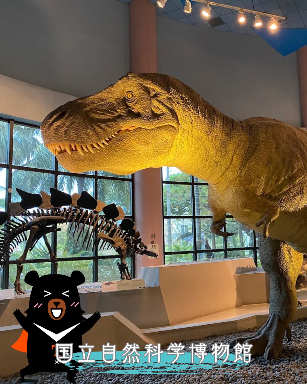 ✨【台中 国立自然科学博物館】✨台中「国立自然科学博物館」は ...