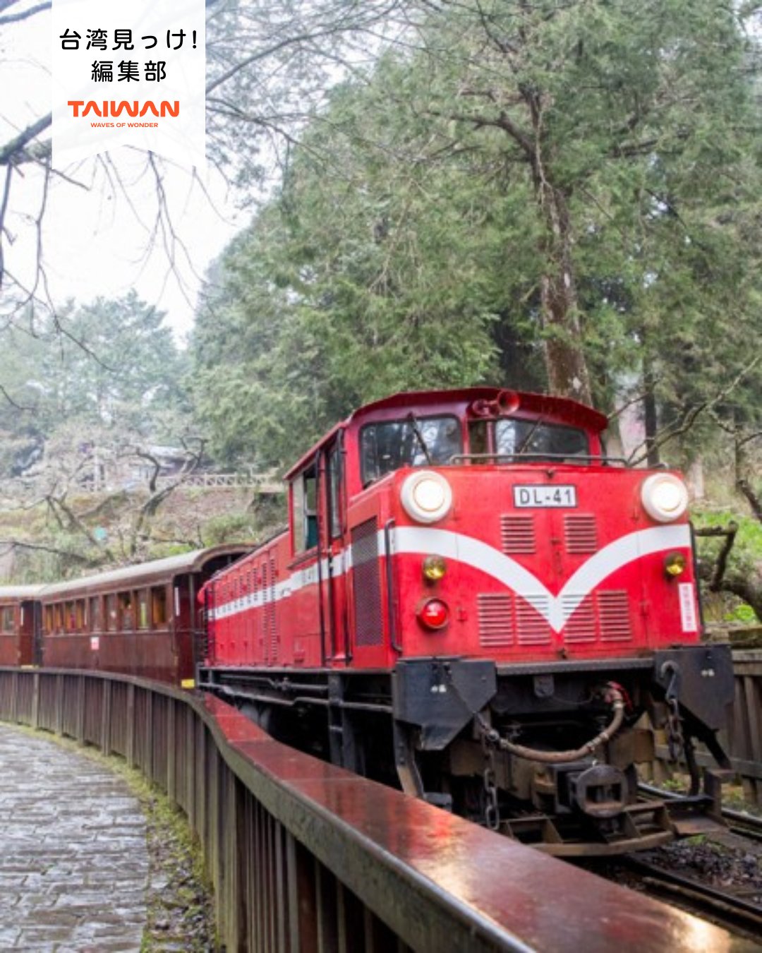 大家好（皆さんこんにちは）～編集部です！台湾南部の嘉義県では ...