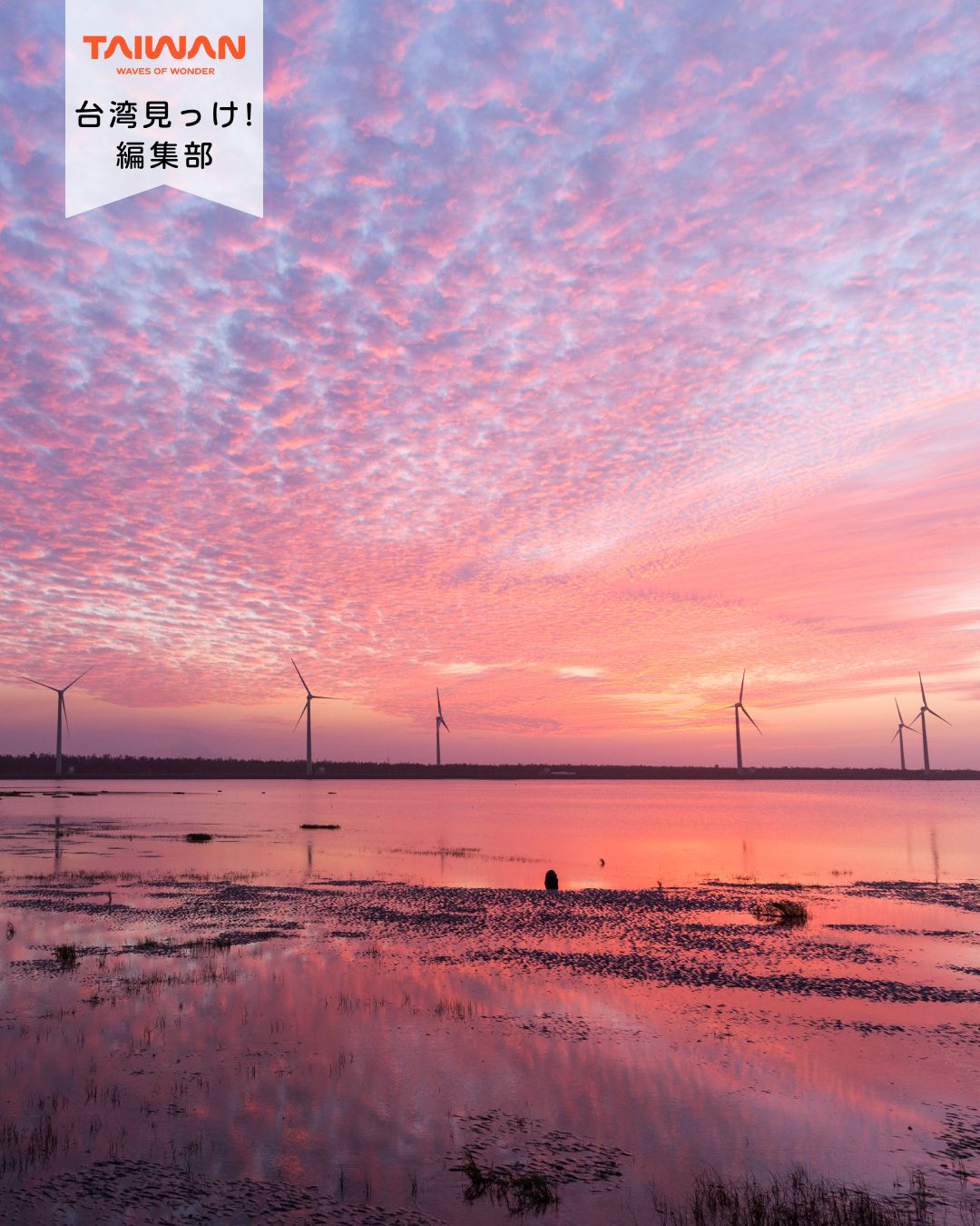 大家好（皆さんこんにちは）～編集部です！台中の「高美湿地」は ...