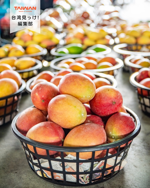 大家好（皆さんこんにちは）～編集部です！台南市玉井区は、愛文 ...