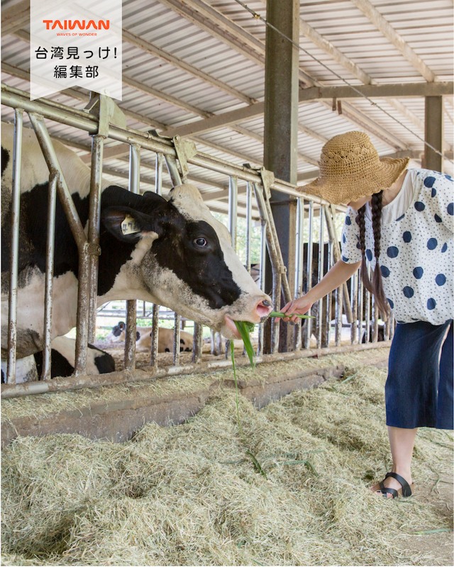 大家好（皆さんこんにちは）～編集部です！花蓮県の「瑞穂」は、 ...