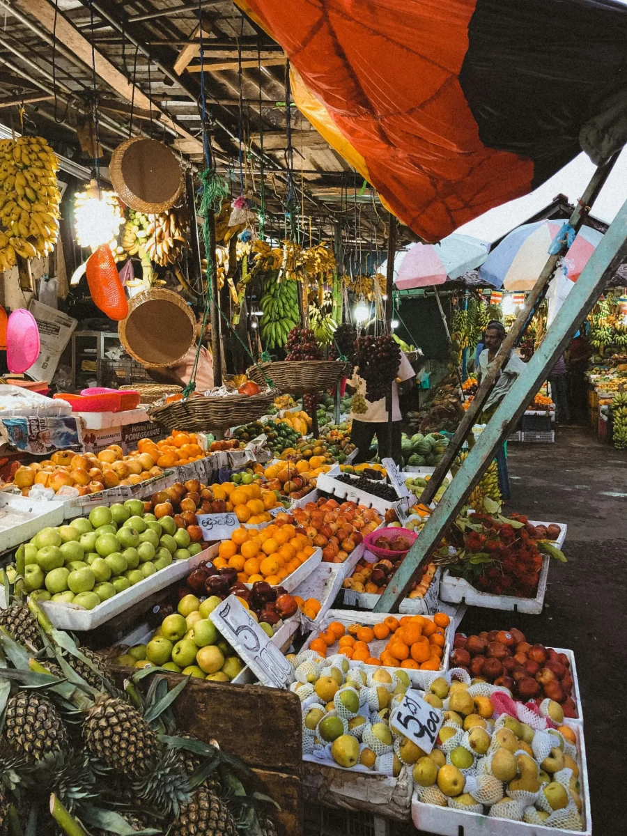 現地の通貨・チップ習慣