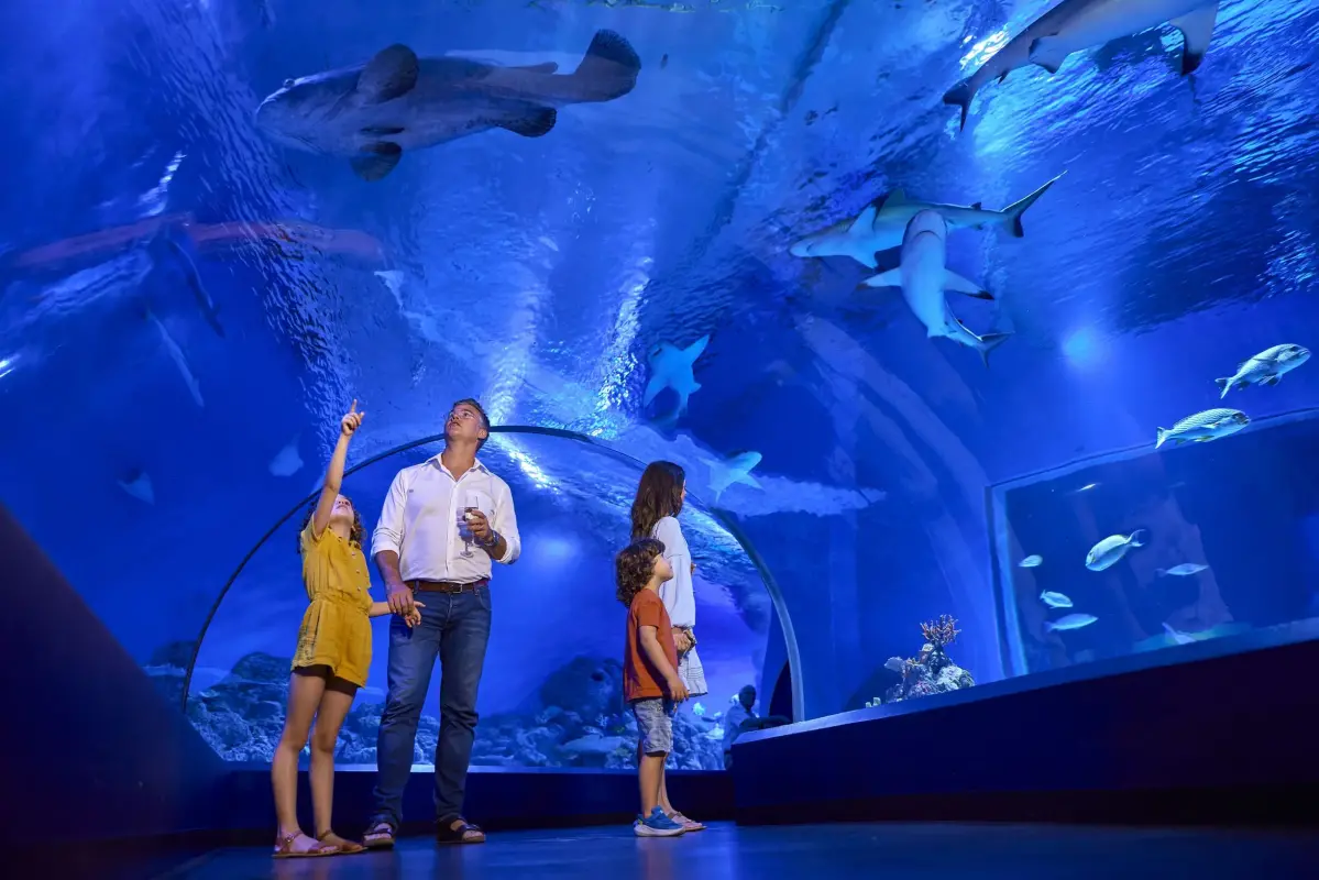 ケアンズ水族館の水中トンネル